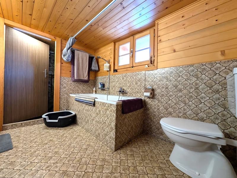 Rustikales Walliserhaus bei der Riederalp (8)