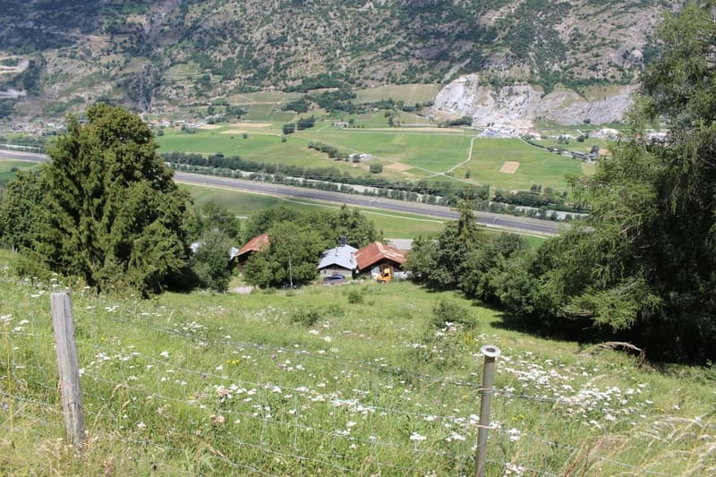 The image shows a picturesque rural landscape in a mountainous region. In the foreground, there is a grassy field with wildflowers, and in the background, there are several houses or cabins nestled among the trees. The landscape is dominated by rolling hi