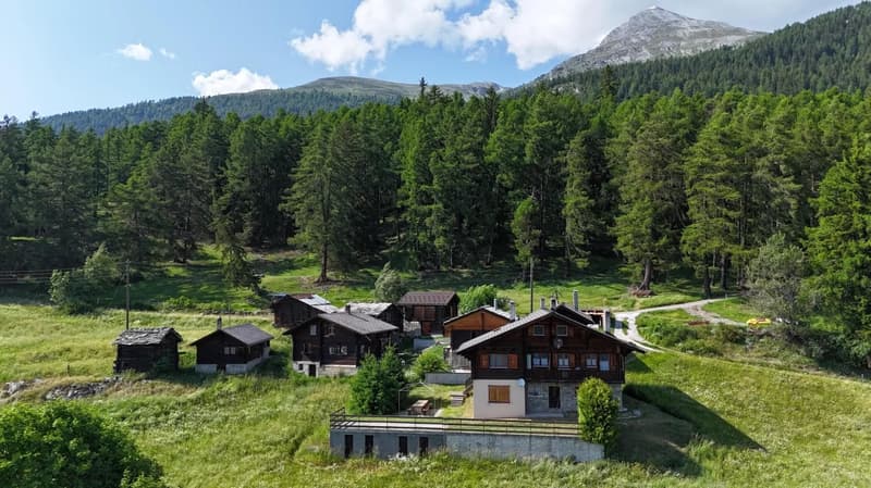 Charmante Wohnung im Salwald bei Mund (1)