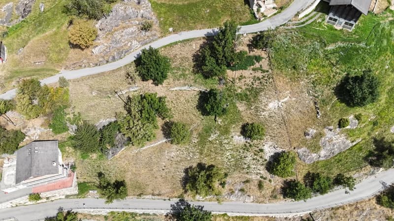 Plot of land with a small house, with green grass and trees, visible from above, surrounded by a road and other properties.