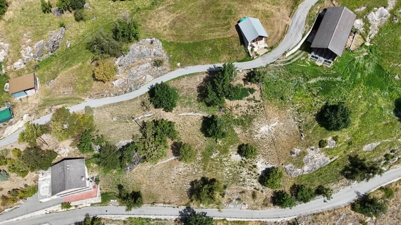 Wide lot with multiple buildings and a winding driveway, surrounded by greenery and trees. The terrain is uneven with some rocky sections.