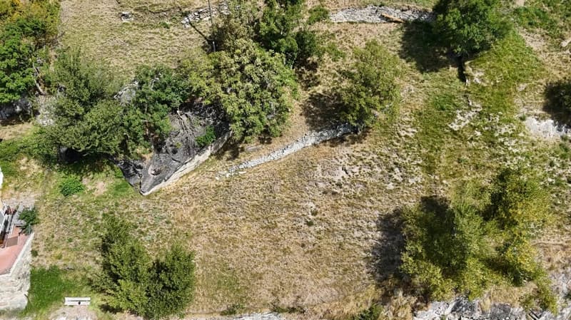 aerial view, grassy field, trees, stone wall, large rock, building in the corner