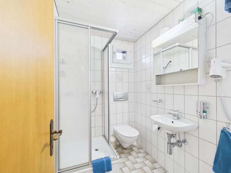 white tiled, shower stall, toilet, sink, mirror, hairdryer, towel rack