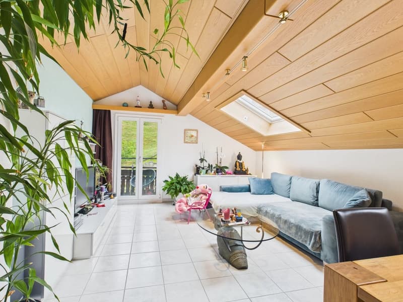 glass table, sofa, TV, glass window, plant, wooden ceiling, chair, table