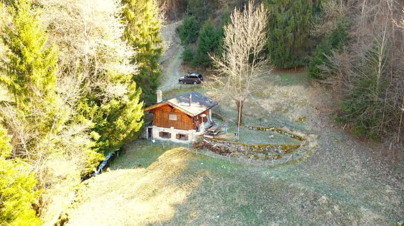 Gemütliches Maiensäss in Waldlichtung (1)