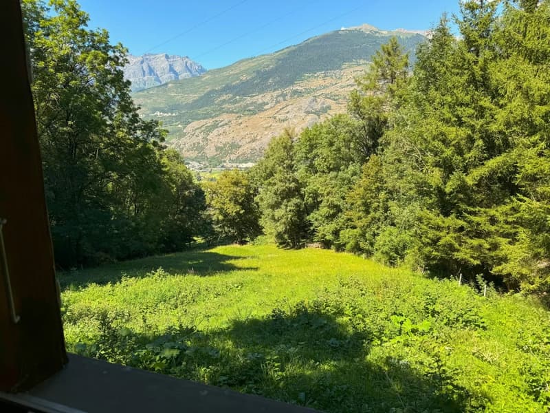 Wide green field, lush trees, mountain in the background, sunny day.