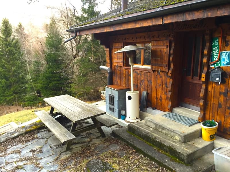 wooden house, outdoor table, door, window, wooden fence, mailbox, wooden steps, metal grate, yellow bucket, yellow storage box, trees