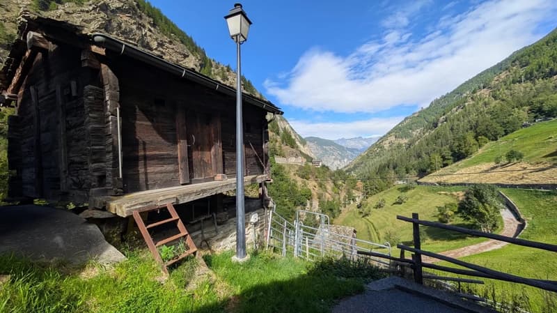 Wohnen im Weiler «Ahorn» in Eisten (13)