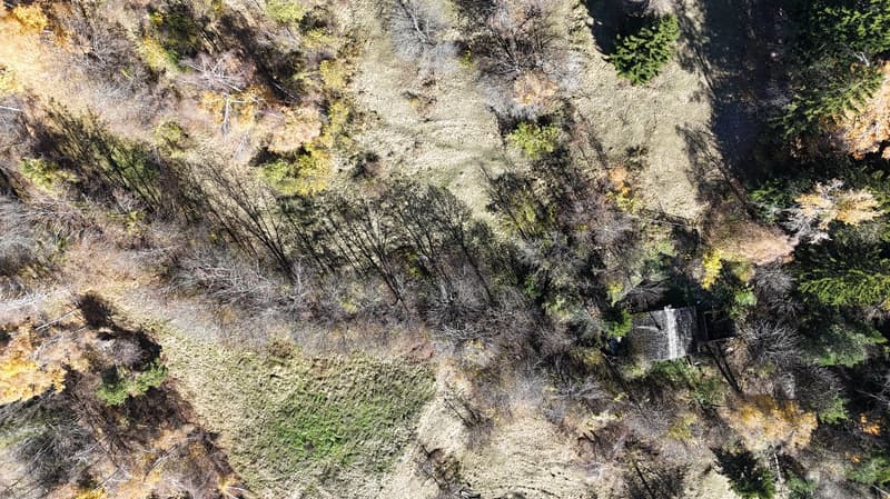 Sonniges Landwirtschaftsland mit Stall bei Leukerbad (3)