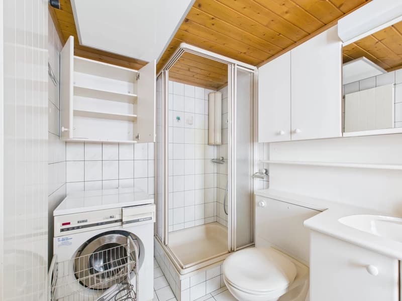 Maison à deux familles dans le parc paysager de Binntal (7)