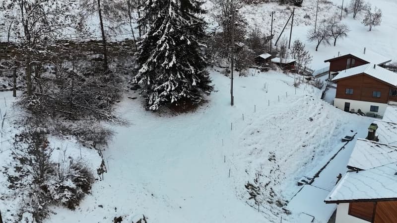 A plot of land with snow cover, several houses in the background, a fir tree.