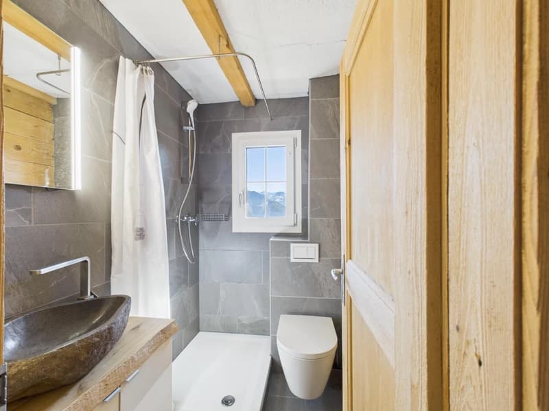 stone sink, wooden vanity, shower, toilet, mirror, small window