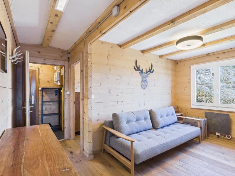 Wooden walls, gray couch, wooden table, ceiling light, wooden floors, deer head decoration