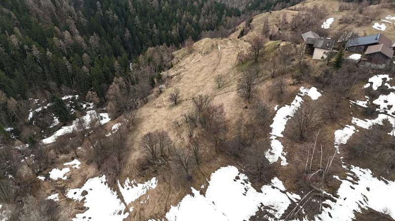 House on a hill, surrounded by trees and snow, with a clear view of the surrounding landscape