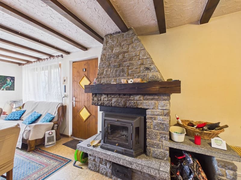 Fireplace, wooden ceiling, couch, rug, wooden door, basket, heater