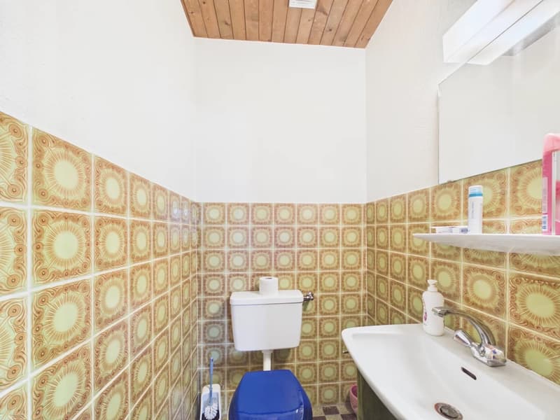 small bathroom with white toilet, blue seat, white sink, mirror, patterned tiles