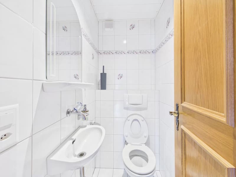 Spacious owner-occupied apartment with panoramic views (11)