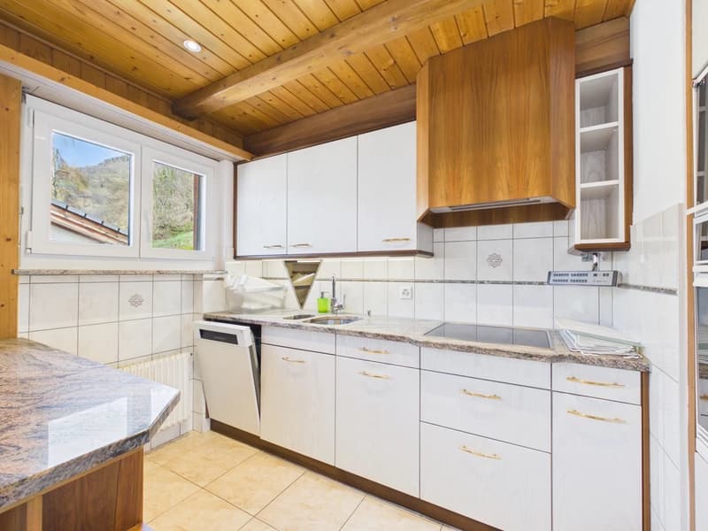 Spacious owner-occupied apartment with panoramic views (3)