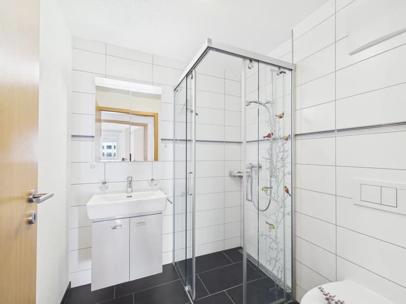 Abitare con stile con loggia in un quartiere popolare a Visp (9)