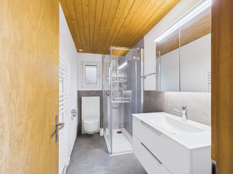 modern bathroom with white sink, glass shower, wooden ceiling, white toilet, white radiator