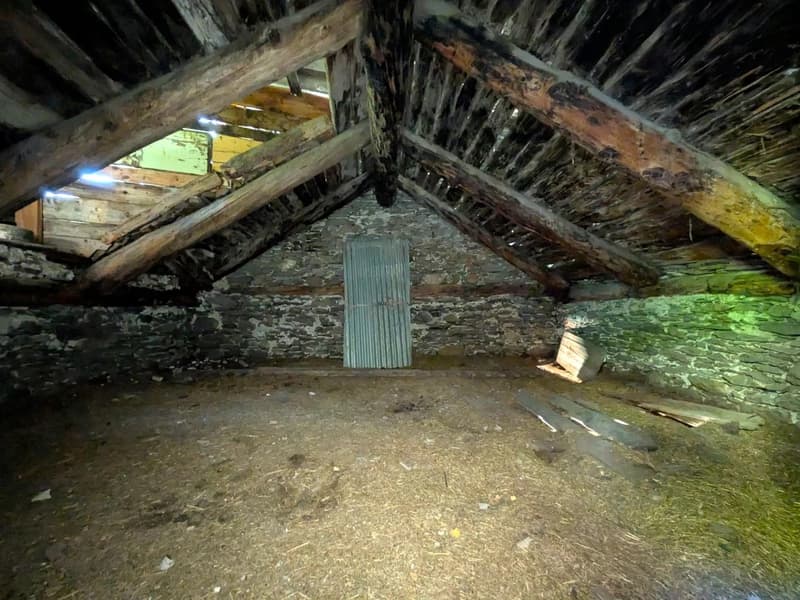 Rustico im Simplongebiet - ursprüngliches Bijou für Macher (11)