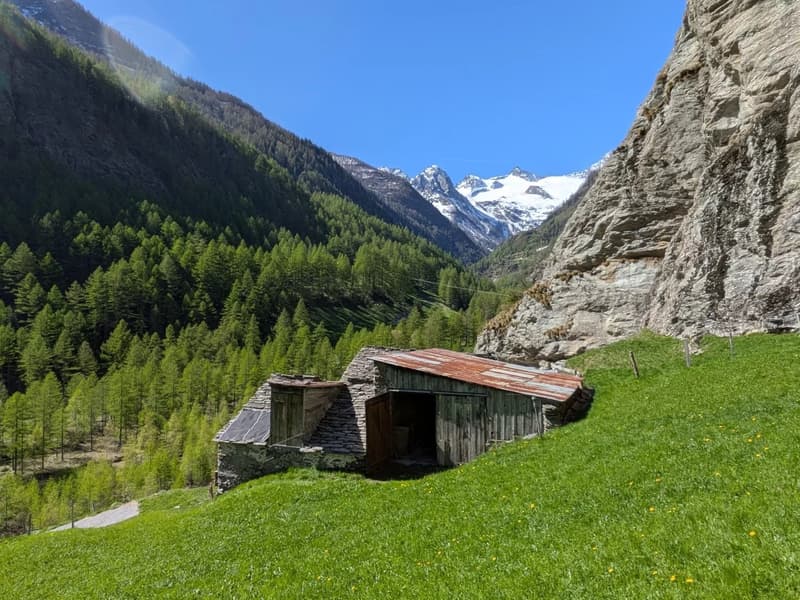 Rustico im Simplongebiet - ursprüngliches Bijou für Macher (2)