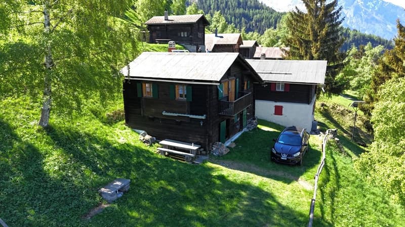 Alpenhüttenfeeling mit spektakulärer Aussicht & Ruhe pur (2)