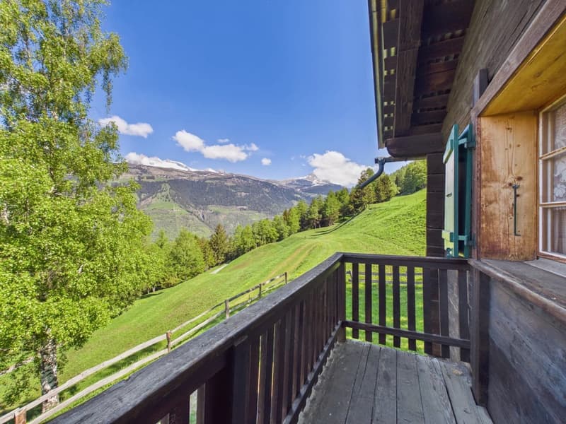 Alpenhüttenfeeling mit spektakulärer Aussicht & Ruhe pur (7)