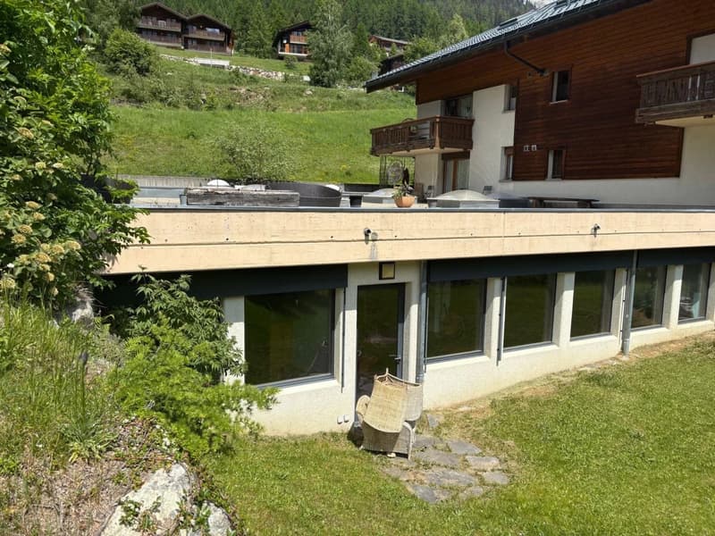 Grosszügige Räume mit Loftcharakter oberhalb Blitzingen (4)