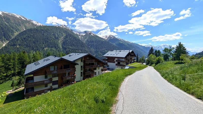 Grosszügige Räume mit Loftcharakter oberhalb Blitzingen (13)