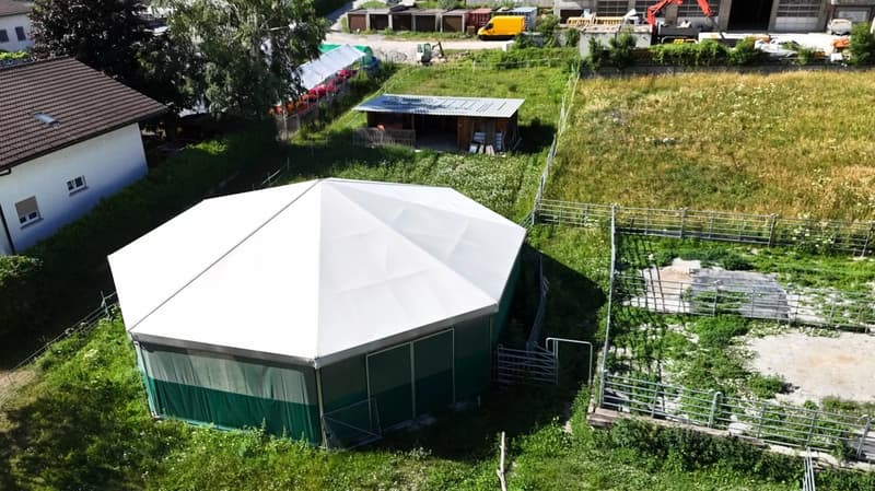 Stall, Scheune und Pferdeboxen – Bauland W3 mit Potenzial (6)
