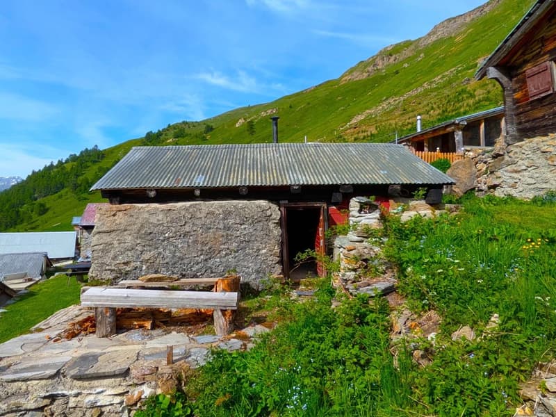 Alphütte auf ca. 2'000 m ü. M. auf der Bachalpe (9)