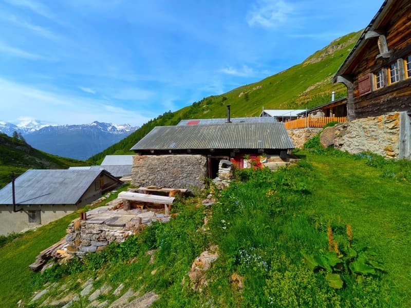 Alphütte auf ca. 2'000 m ü. M. auf der Bachalpe (1)