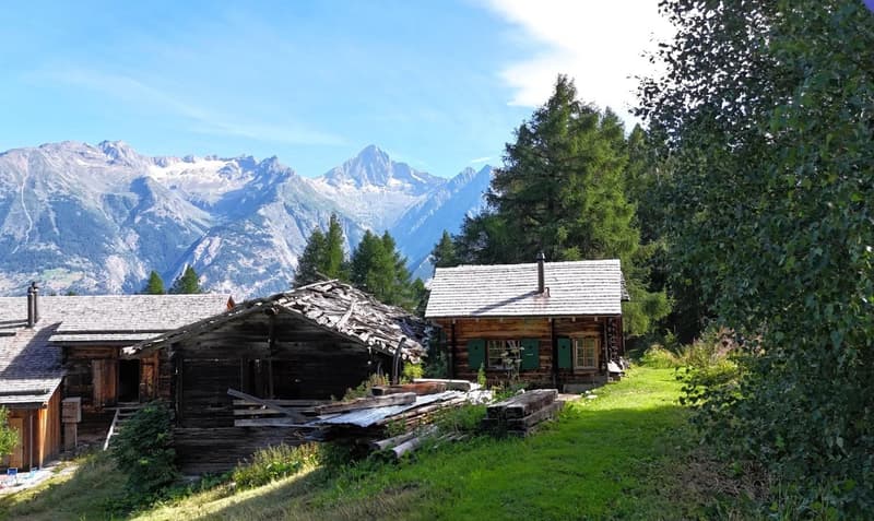 Behagliches Maiensäss bei der Brandalp in Unterbäch (2)