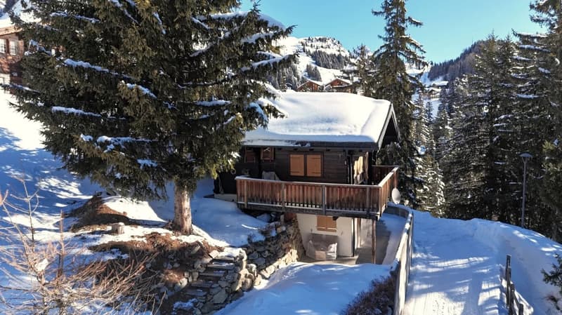 Bergrefugium mit Ski-in-Komfort auf der Riederalp (24)