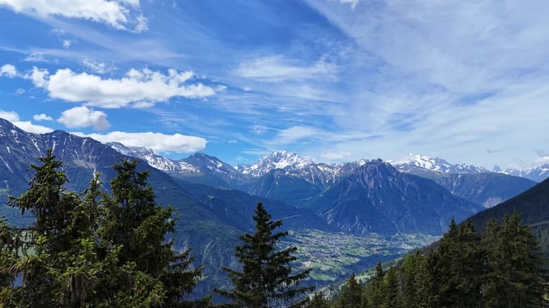 Bergrefugium mit Ski-in-Komfort auf der Riederalp (9)