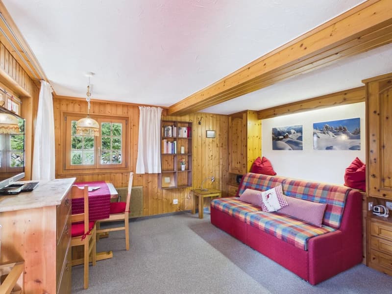 Bergrefugium mit Ski-in-Komfort auf der Riederalp (17)