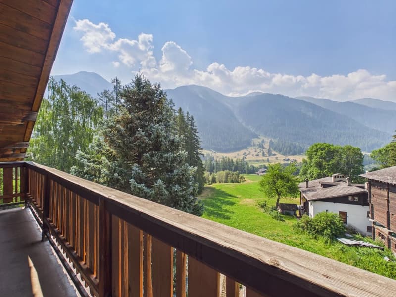 Charmantes Zweifamilienhaus an sonniger Lage im Goms (15)