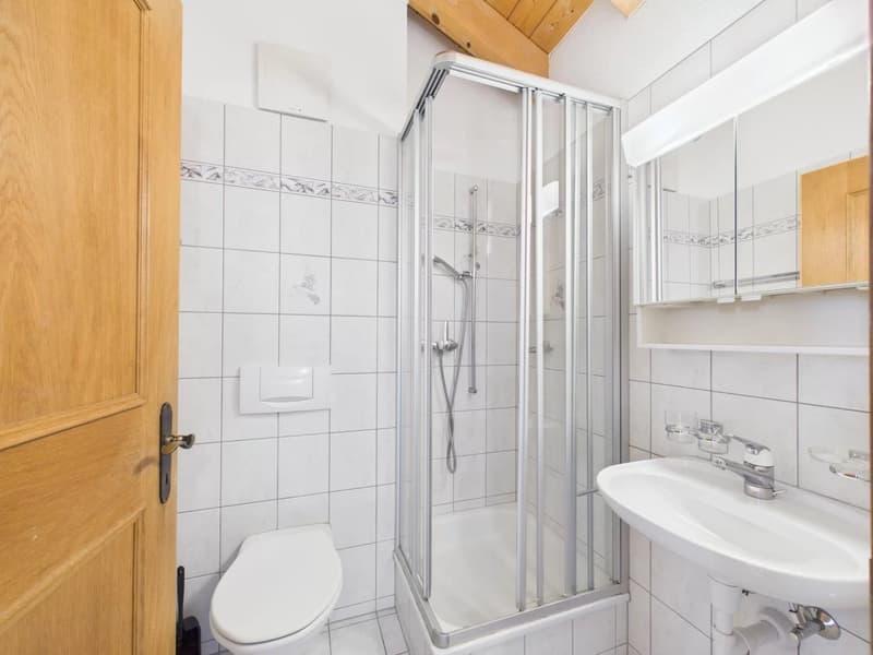 Exklusive Dachwohnung an ruhiger Lage in Brig-Glis (8)