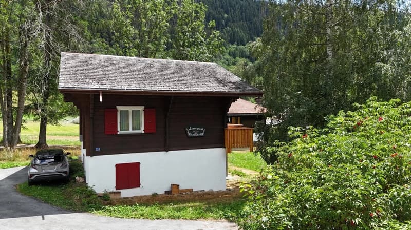 Gemütliches Chalet an ruhiger Lage in Fieschertal (4)