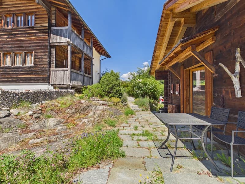 Ferienwohnung mit Alpenstadel & Naturidylle im Wallis (16)