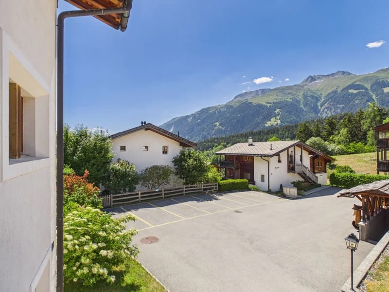 Ferienwohnung mit Alpenstadel & Naturidylle im Wallis (22)