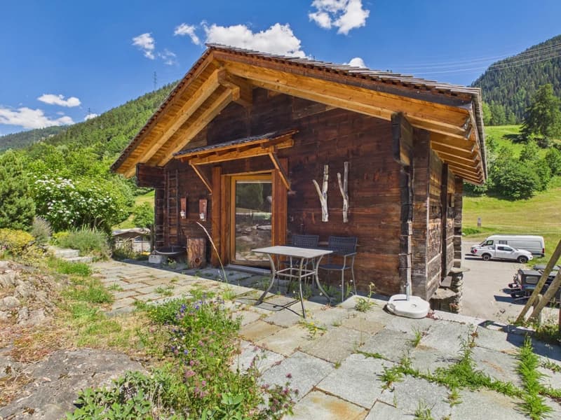Ferienwohnung mit Alpenstadel & Naturidylle im Wallis (15)