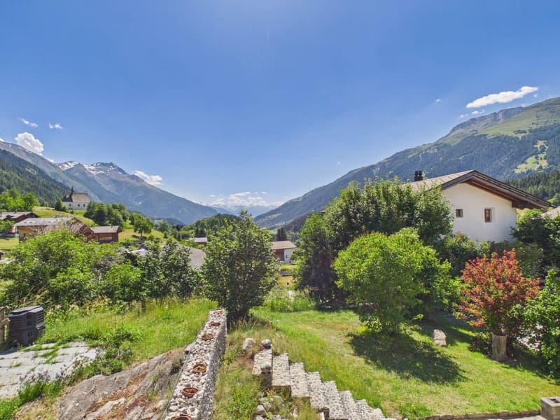 Ferienwohnung mit Alpenstadel & Naturidylle im Wallis (21)