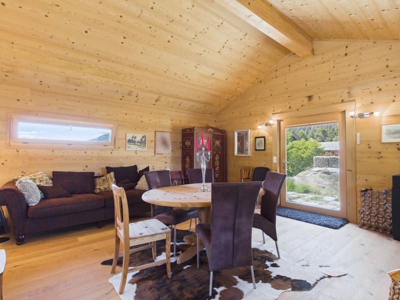 Ferienwohnung mit Alpenstadel & Naturidylle im Wallis (18)