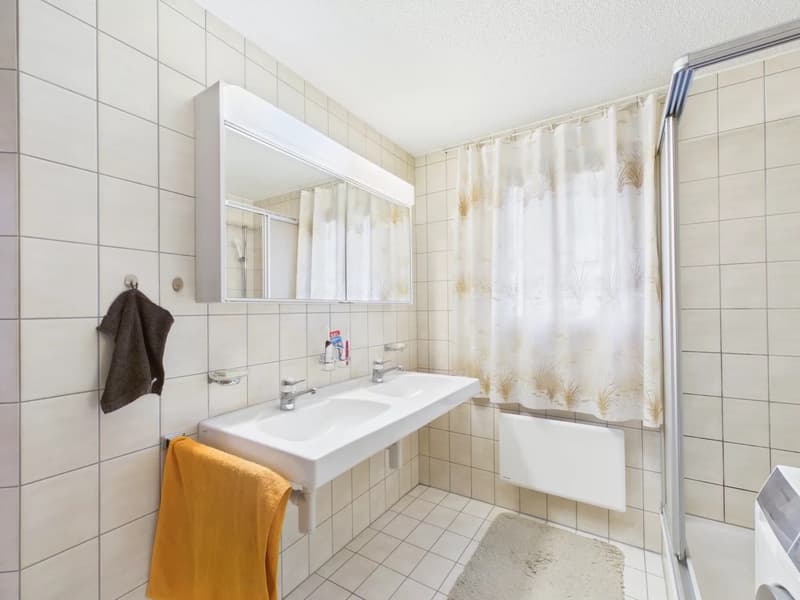 Ferienwohnung mit Alpenstadel & Naturidylle im Wallis (11)