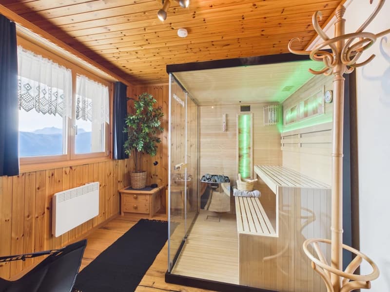 Ski-in-Ski-out mit Traumpanorama und eigener Sauna (5)