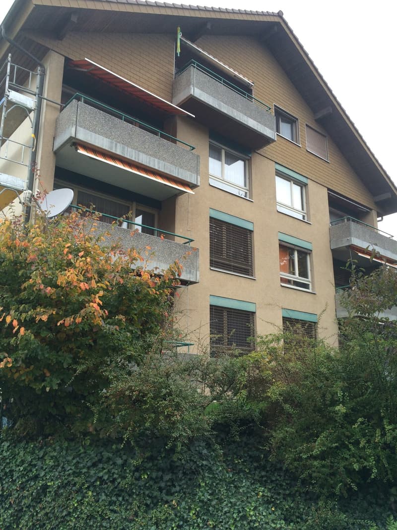 3 story apartment building, brick walls, multiple balconies, awnings, satellite dish