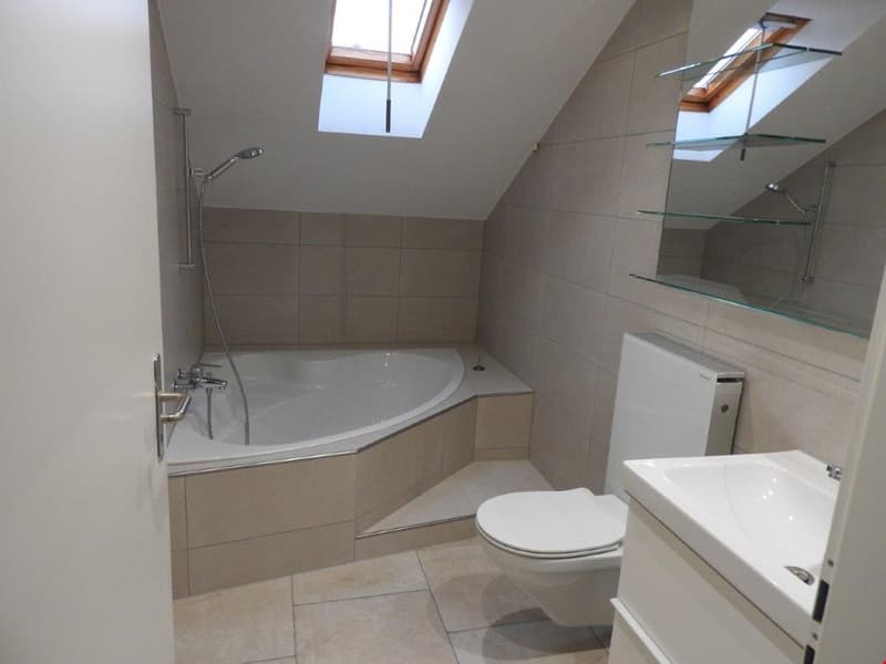 Bathroom with bathtub, toilet, sink, and two skylights
