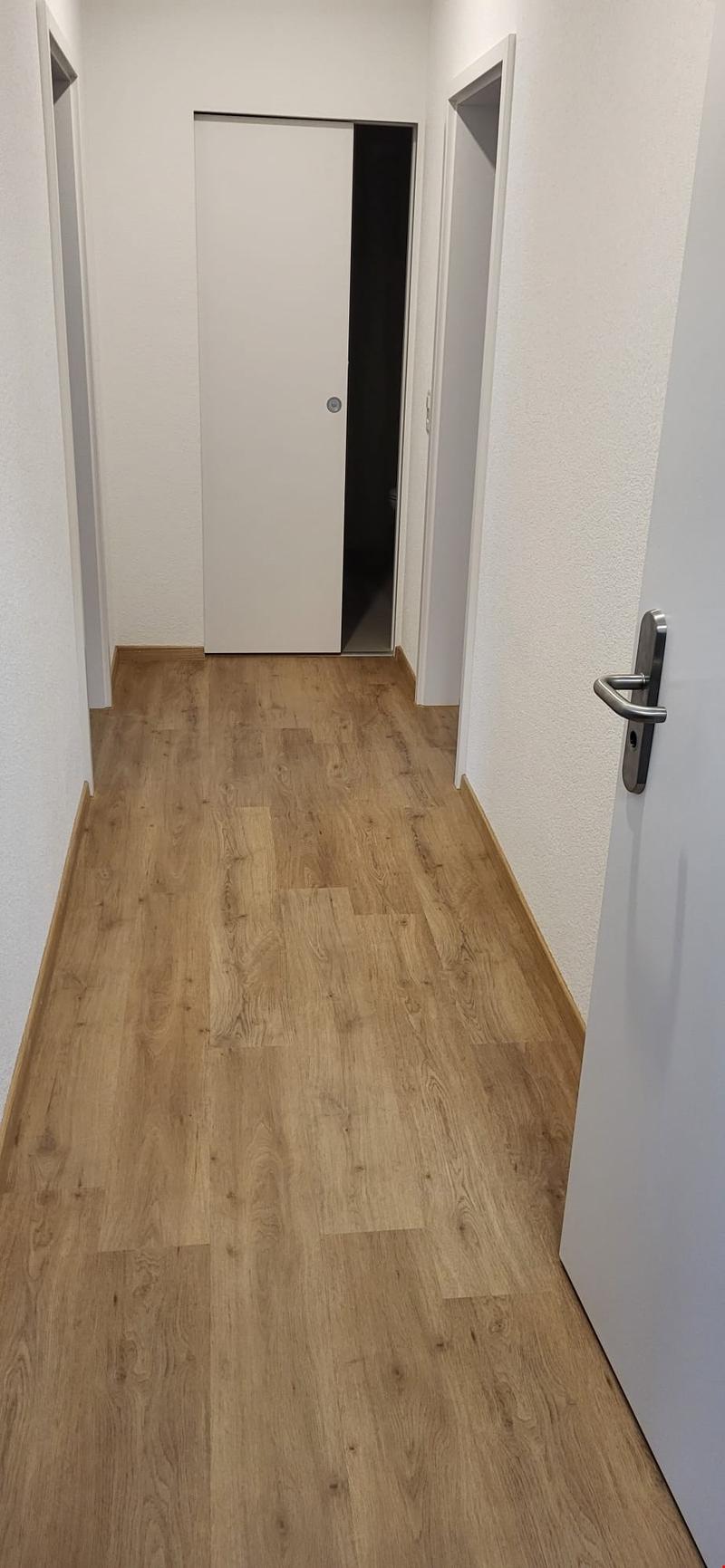 3-Zimmerwohnung General-Dufourstrasse 51/Aussen PP (12)